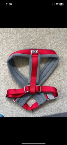 Ancol large dog harness - ancol, red