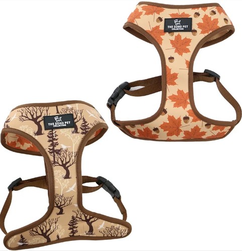 Ancol soho pet - ancol, collection