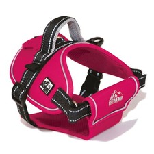 Ancol Extreme Large Pink Dog