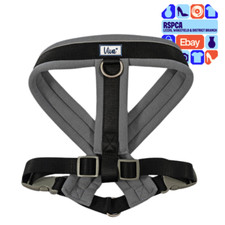 New Ancol Viva Soft Padded