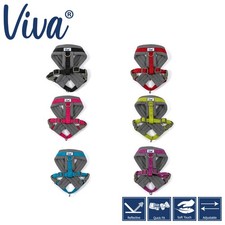 Ancol Viva Padded Dog Harness