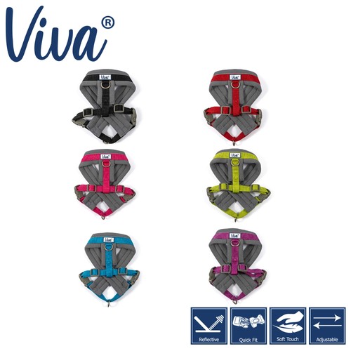 Ancol viva padded dog - padded, harness