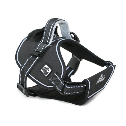 Ancol extreme small dog - small,